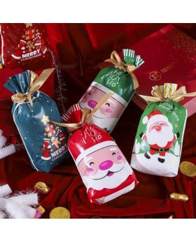 10pcs Plastik Goodie Bag Natal Xmas
