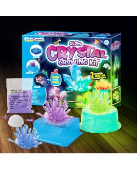 STEAM DIY Crystal Growing Kit