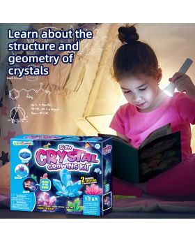 STEAM DIY Crystal Growing Kit